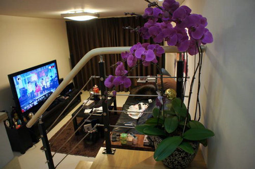 家装设计效果图:单身男人简单LOFT个性住宅